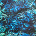 ICHIKO AOBA - Luminescent Creatures