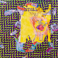 ANIMAL COLLECTIVE - BALLET SLIPPERS