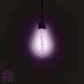 MXMTOON - TRUE COLORS