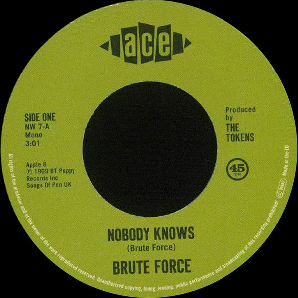 Brute Force - Nobody Knows / King Of Fuh