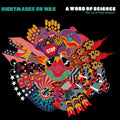 NIGHTMARES ON WAX - A WORD OF SCIENCE