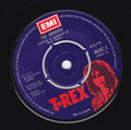 T.REX - THE GROOVER