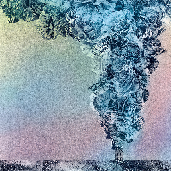 DAUGHN GIBSON - CARNATION