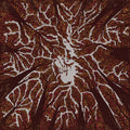 TRASH BOAT - CROWN SHYNESS