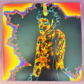 Outkast - Stankonia (25th Anniversary Edition)