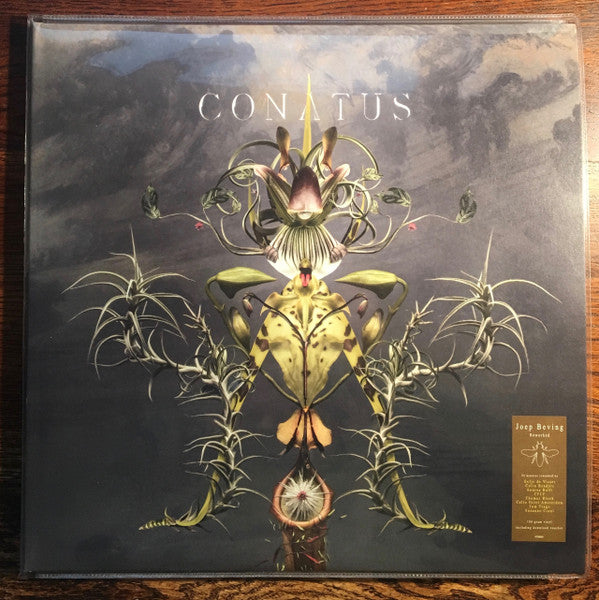Joep Beving - Conatus