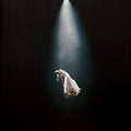 Ariana Grande - eternal sunshine deluxe: brighter days ahead