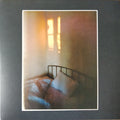 REV MAGNETIC - GLOAMING