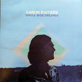 AARON RAITIERE - SINGLE WIDE DREAMER