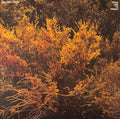 JEFRE CANTU-LEDESMA - TRACING BACK THE RADIANCE