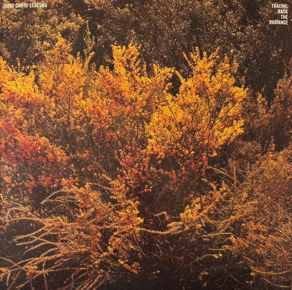 JEFRE CANTU-LEDESMA - TRACING BACK THE RADIANCE