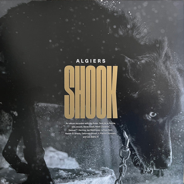ALGIERS - SHOOK