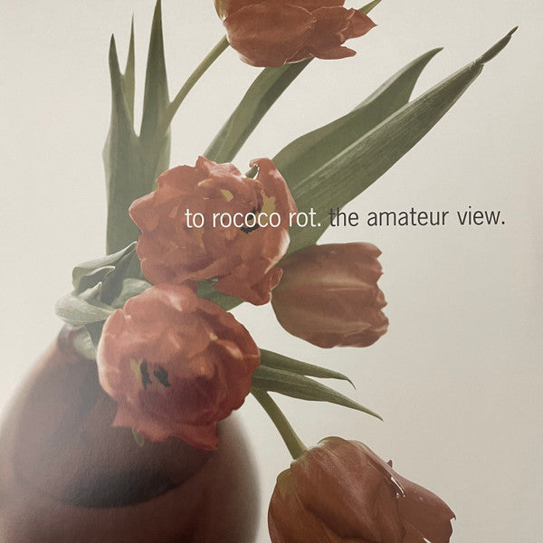 TO ROCOCO ROT - THE AMATEUR VIEW (EXPANDED EDITION 2025)