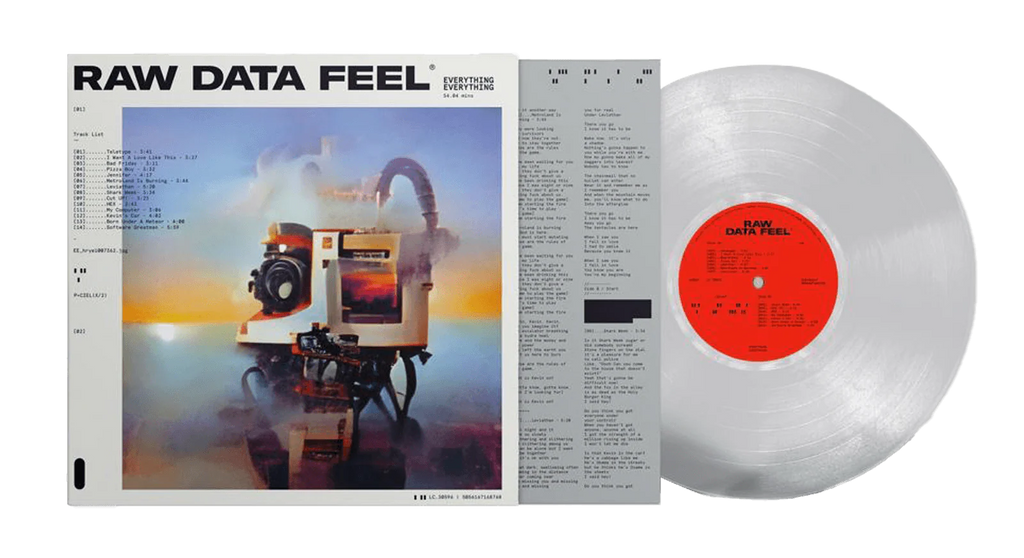 EVERYTHING EVERYTHING - RAW DATA FEEL