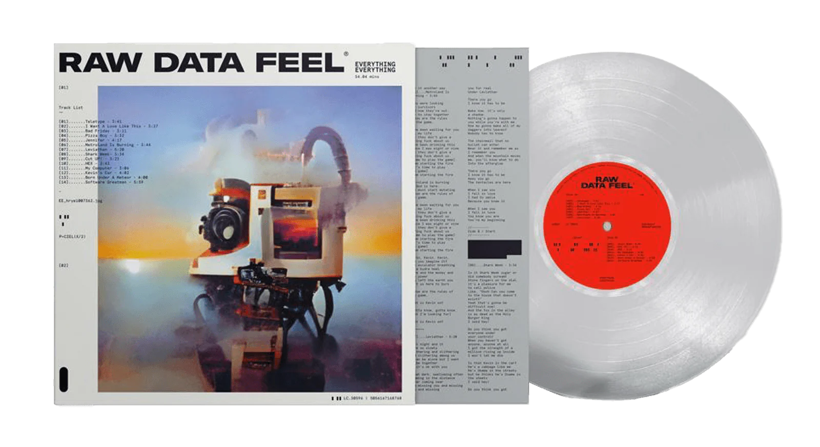 EVERYTHING EVERYTHING - RAW DATA FEEL